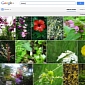 Use Google+'s Image Recognition Search on Your Own Photos and Be Blown Away