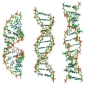 Using DNA to Sort Through Carbon Nanotubes