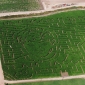 Utah Unveils Largest ‘Twilight’ Corn Maze