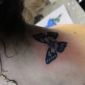 Vanessa Hudgens Gets Butterfly Tattoo on the Back of Her Neck