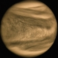 Venus in Black, White and Ultraviolet