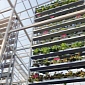 Vertical Farm Debuts in Singapore, Grows Half a Ton of Vegetables Daily
