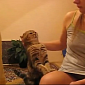 Viral of the Day: Cute Cats Demand Petting Compilation
