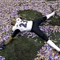 Viral of the Day: Excited Raven Makes Confetti Snow Angel at Super Bowl 2013