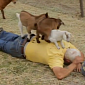 Viral of the Day: Goat Massage
