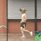Viral of the Day: Man with Horse Head Trolls Hurricane Sandy
