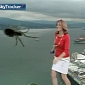 Viral of the Day: Meteorologist Is “Attacked” by Giant Spider on Camera