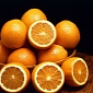 Vitamin C Reveals New Use for Eye Neurons