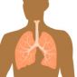 Vitamin D Is Vital for the Lungs' Health