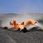 Volcano Boarding Is a Real Sport, Definitely Not for the Faint of Heart