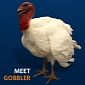 Vote for the Turkey to Be Pardoned by Obama on Facebook