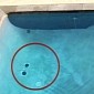 Watch: Black Circles Form at the Bottom of a Pool for No Apparent Reason