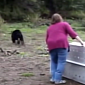 Watch: Boo Boo Bear Rescued from Forest Fire Returned to the Wild