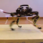 Watch: Cheetah-Cub Robot Is Almost as Agile as a Cat