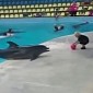 Watch: Cute Kid and Dolphin Play with a Ball