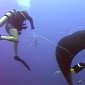 Watch: Diver Frees Manta Ray Entangled in a Fishing Line