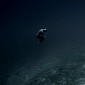 Watch: Diver Rides Ocean Current and It's Positively Breathtaking