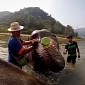Watch: Elephant Takes a Bath, Seems to Really Enjoy the Experience