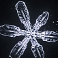 Watch: Fascinating Time-Lapse Shows Snowflakes Forming in Midair