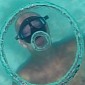 Watch: Free Diver Can Create Massive Bubble Rings Underwater