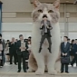 Watch: Giant Cat Gives Man a Ride to Work