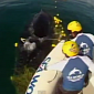 Watch: Humpback Whale Rescued After Getting Caught in a Shark Net