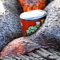 Watch: Lava Engulfs a Can of Ravioli, Makes It Explode