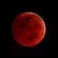 Watch: Lunar Eclipse Will Turn the Moon Blood Red This October 8