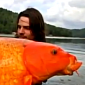 Watch: Monster Goldfish Are Breeding in Lake Tahoe