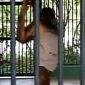 Watch: Orangutan Steals Man's T-Shirt, Puts It On and Struts Around