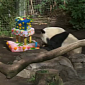 Watch: Panda Bear Turns 4, Gets a Birthday Cake