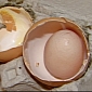 Watch: Possibly Biggest Chicken Egg in the World Holds Another Egg