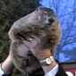 Watch: Punxsutawney Phil Says Winter Will Stick Around for 6 More Weeks