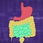 Watch: Science Video Explains Why Stomachs Sometimes Rumble