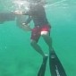 Watch: Shark Bites Man's Pants, and It's Super Cute and Awesome