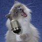 Watch: “Sing It Kitty” Ad Campaign Stars Adorable Singing Cat