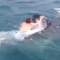 Watch: Teen Hitches a Ride on a Whale Shark