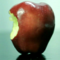 Watch: The Proper Way to Eat an Apple