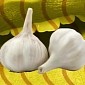 Watch: The Science of Garlic Breath