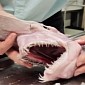 Watch: This Goblin Shark Is the Stuff Nightmares Are Made From