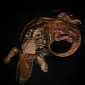 Watch: Timelapse Video Shows Monitor Lizard Decomposing