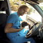 Watch: Veterinarian Shows How Dogs Locked Inside Hot Cars Feel