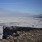 Watch: Video Documents Biodiversity on Russia's Wrangle Island