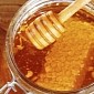 Watch: Video Explains How and Why Bees Make Honey