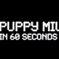 Watch: Video Exposes the Cruelty of Puppy Mills