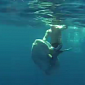 Watch: Video Shows Man Riding a Giant Mola Fish