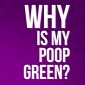 Watch: Why Poop Sometimes Turns Green, as Explained by Science