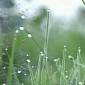 Watch: Why Rain Smells So Fresh and So Clean, as Explained by Science