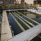 Water Treatment Plants to Use Algae-Based Cleaning Systems