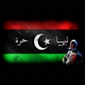 Websites of Libyan Domain Registry and Largest ISP Defaced